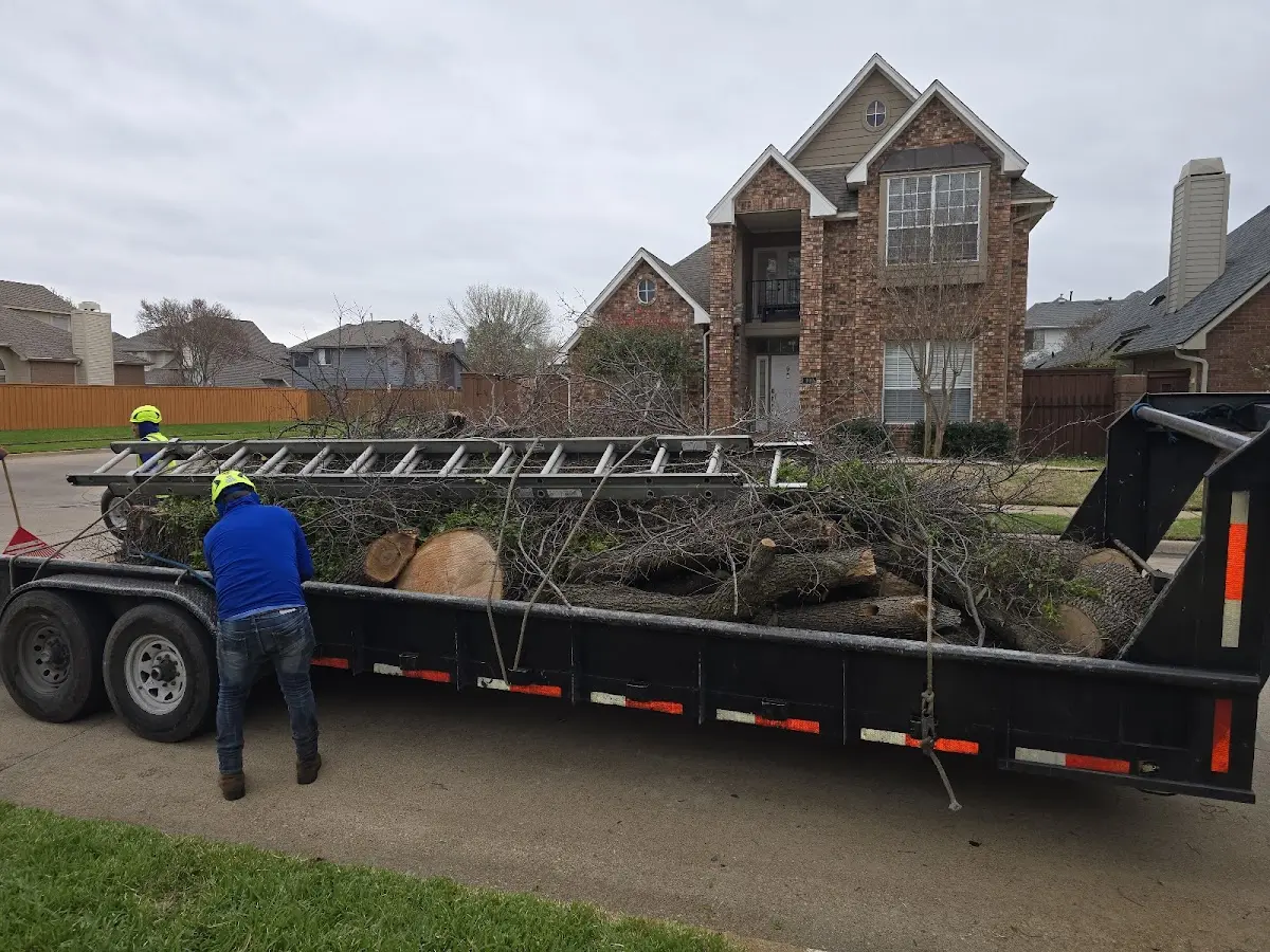 Expert Tree Fertilization with proper safety equipment in Vandalia